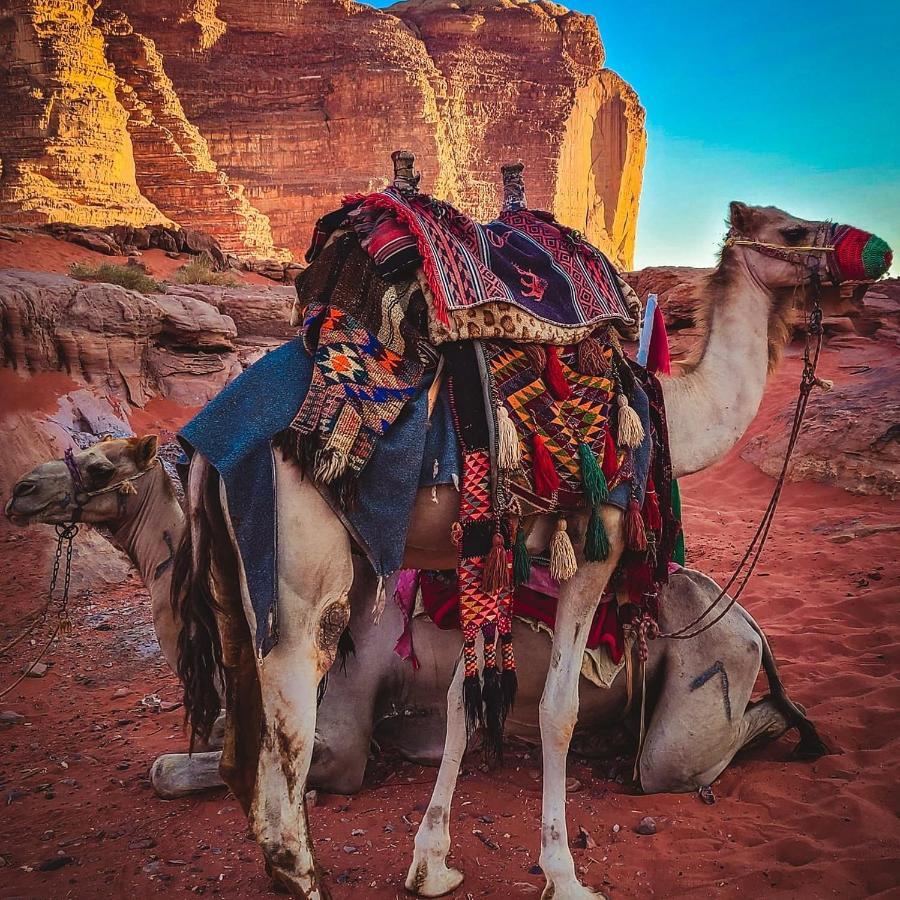 Wadi Rum Bedouin Time Екстер'єр фото