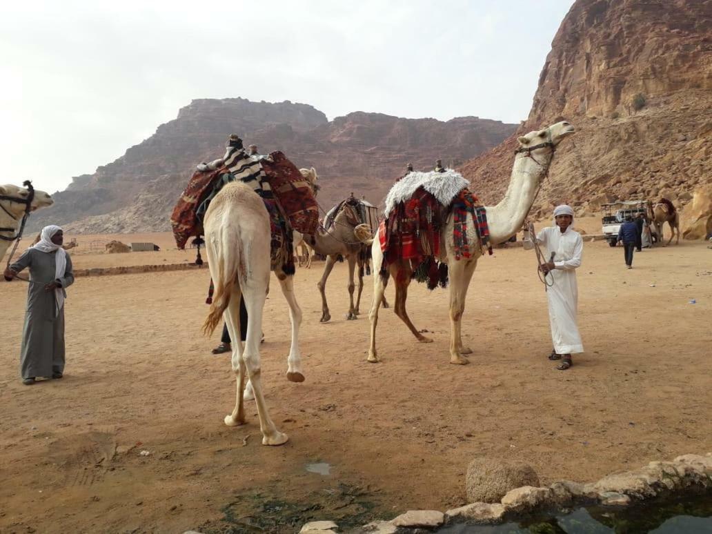 Wadi Rum Bedouin Time Екстер'єр фото